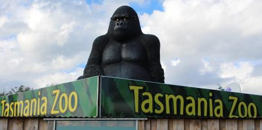 Entry To Tasmania Zoo