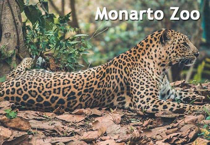 Monarto Zoo Prices