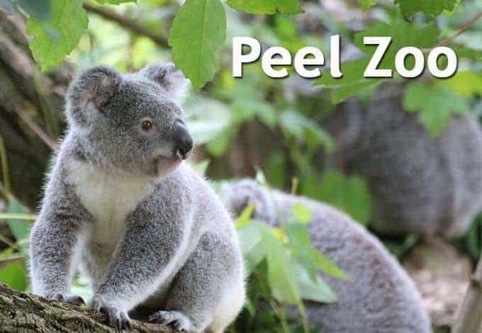 Peel Zoo Prices